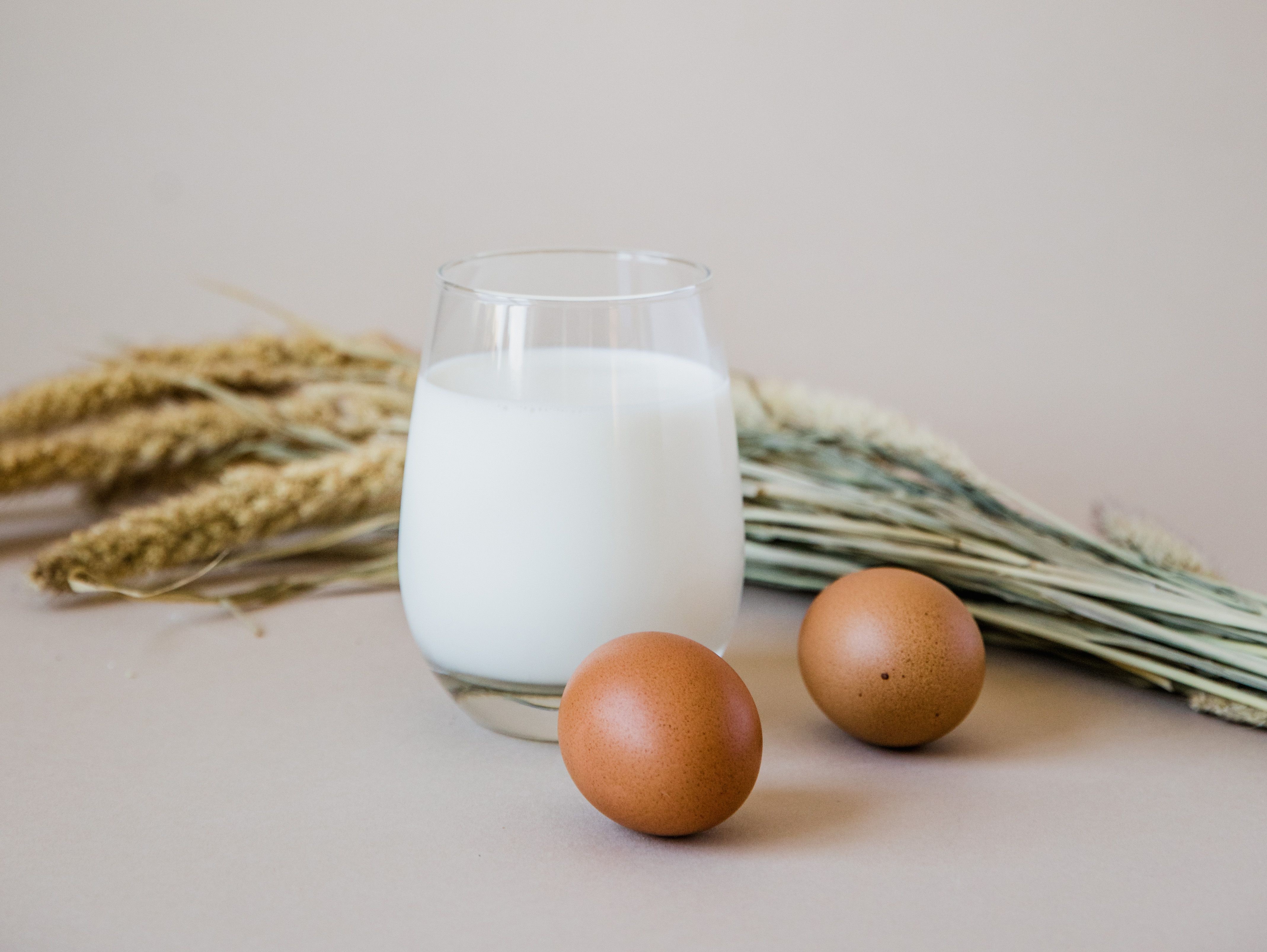 Protein-rich foods